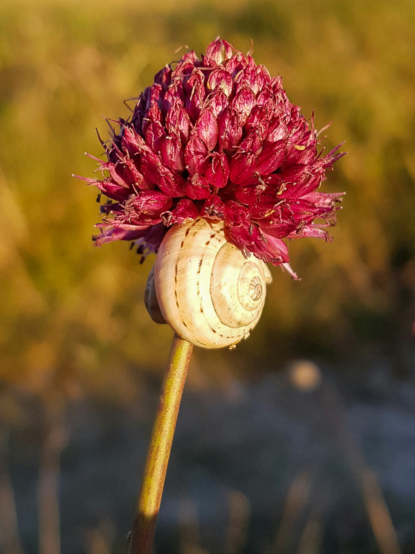 20160715-20160715_162350